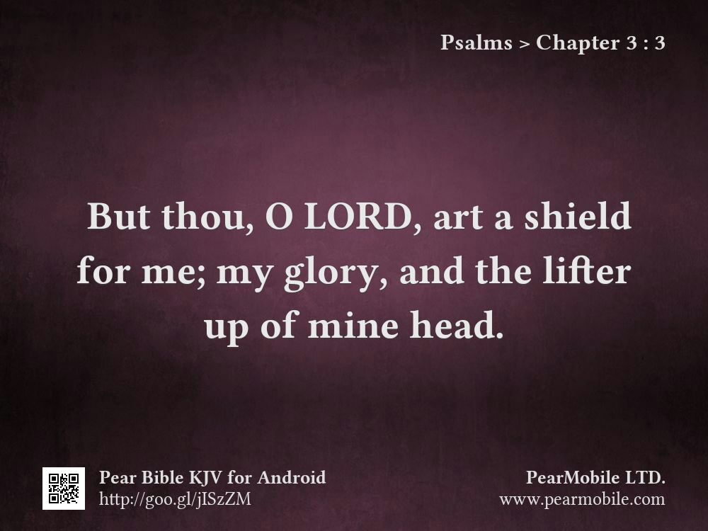 Psalms, Chapter 3:3